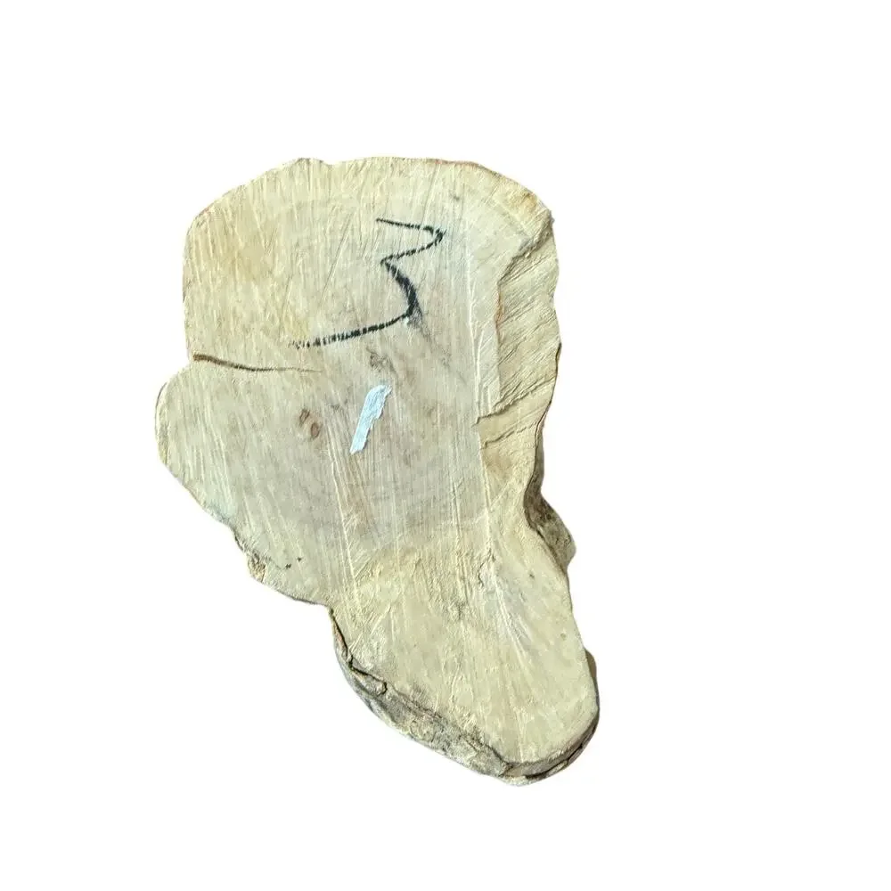 Unbranded coffee root
